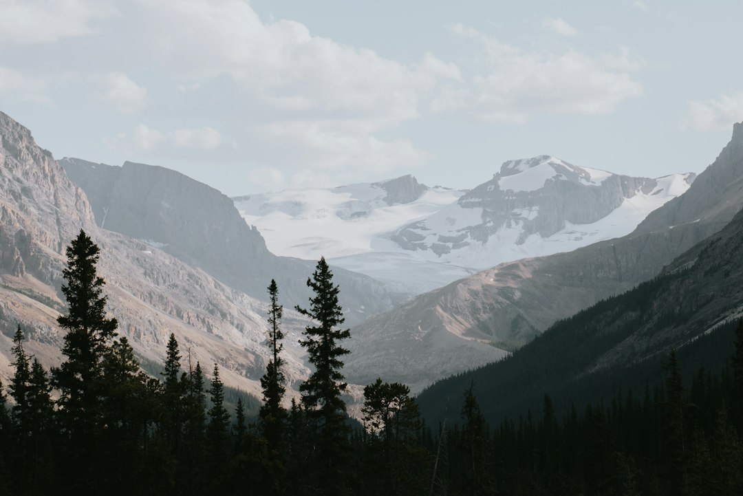 Alberta scenery